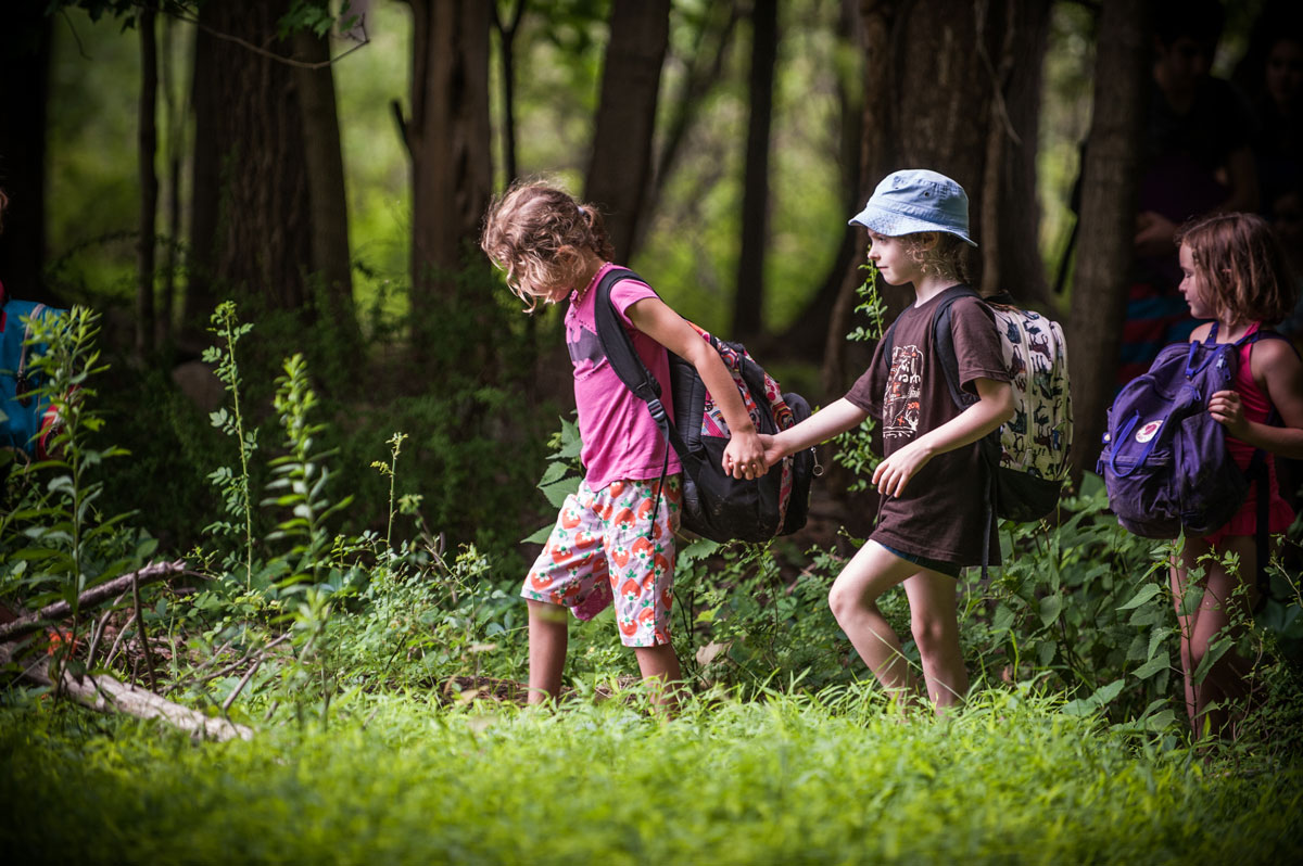 Screech Owl Camp | Wild Earth