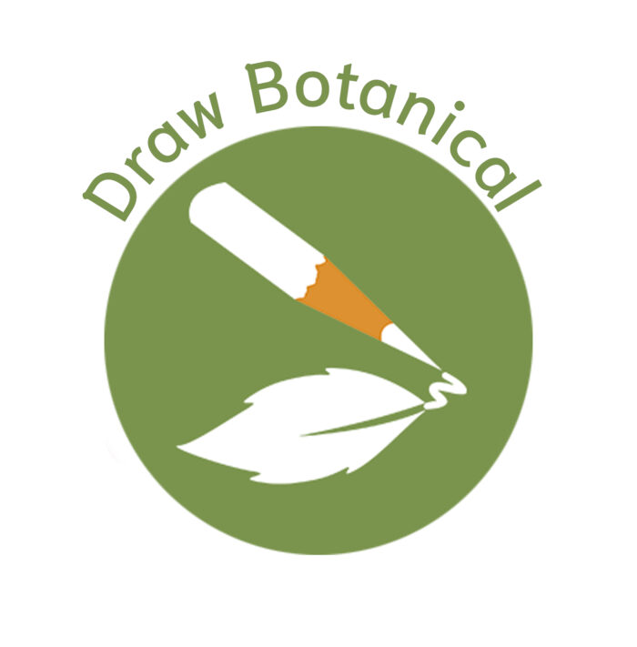 Draw Botanical
