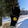 Black convertible gloves with yellow wild earth logo